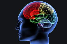 Houston offshore brain injury lawyer